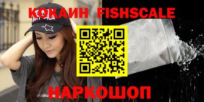 крисы Кингисепп