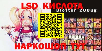 крисы Кингисепп
