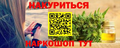 крисы Кингисепп