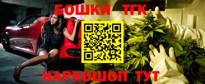 крисы Кингисепп