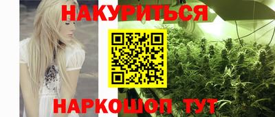 крисы Кингисепп
