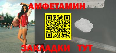крисы Кингисепп