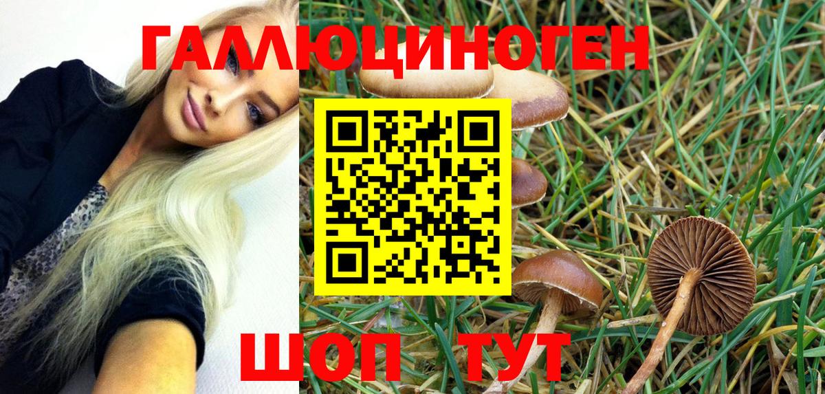 Кыштым  Псилоцибиновые грибы Magic Shrooms  Вход с VPN 