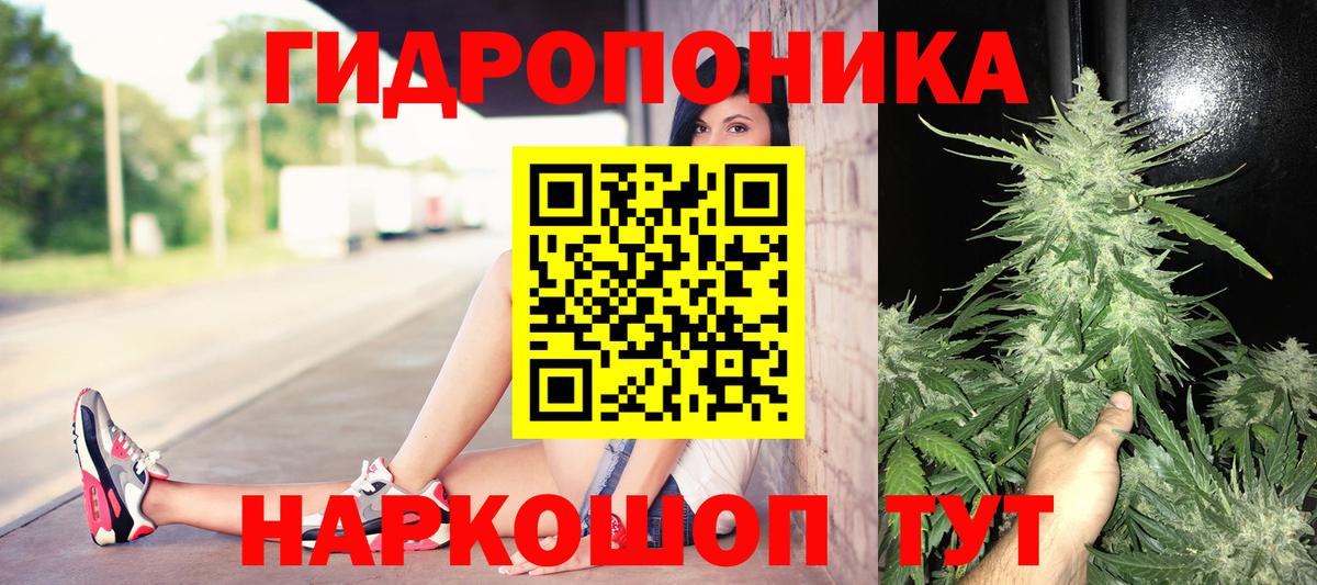 Каннабис AK-47 Кыштым